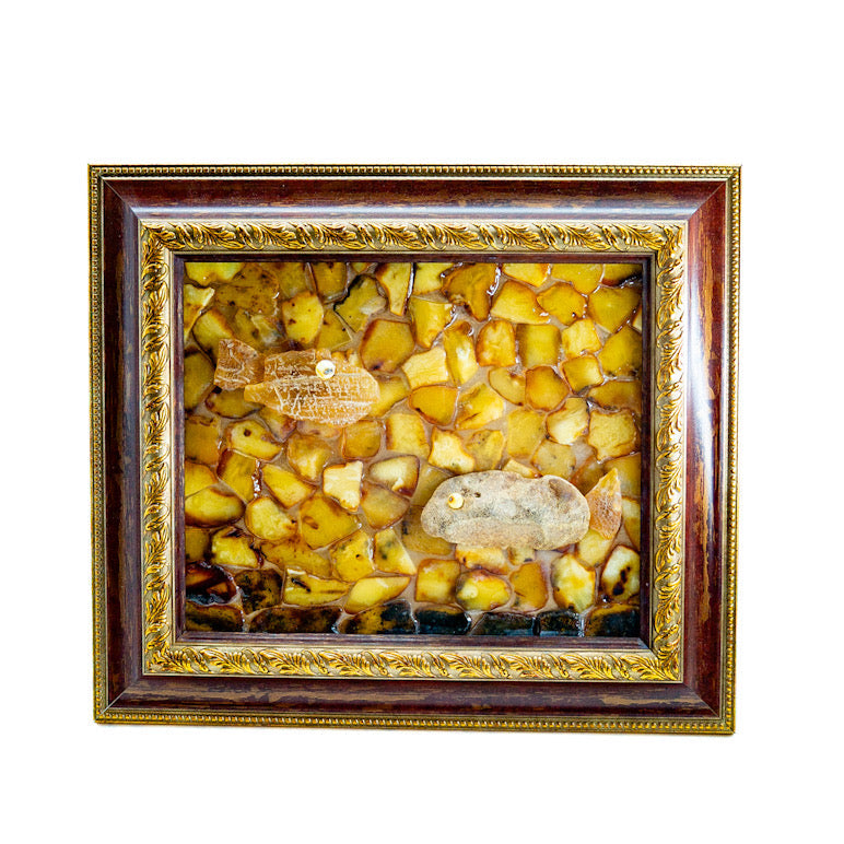 Fish natural Baltic amber wall art panel — amber home decor for modern interiors, handcrafted in Brooklyn USA by KIZIMA