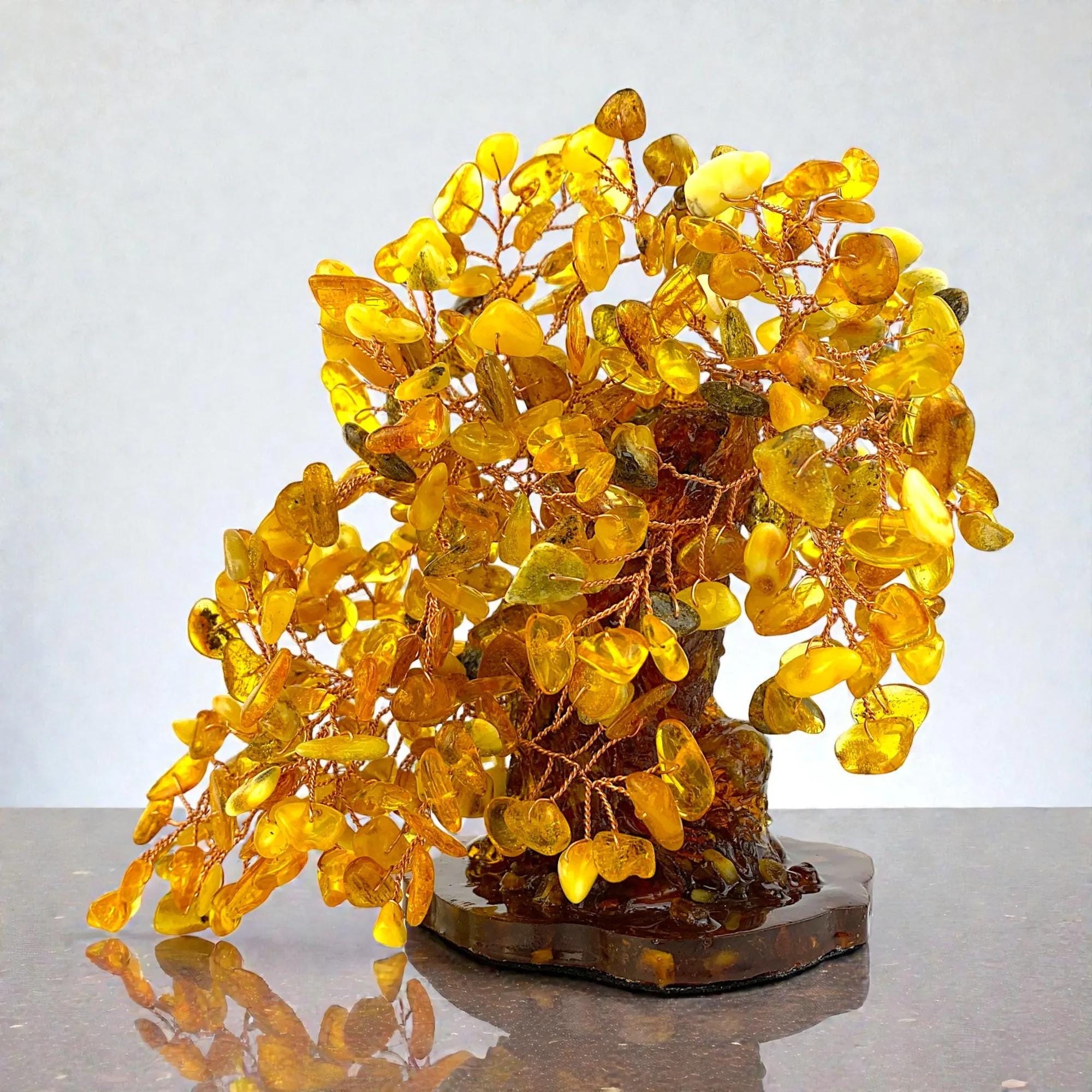 AMBER MONEY TREE