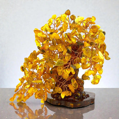 AMBER MONEY TREE
