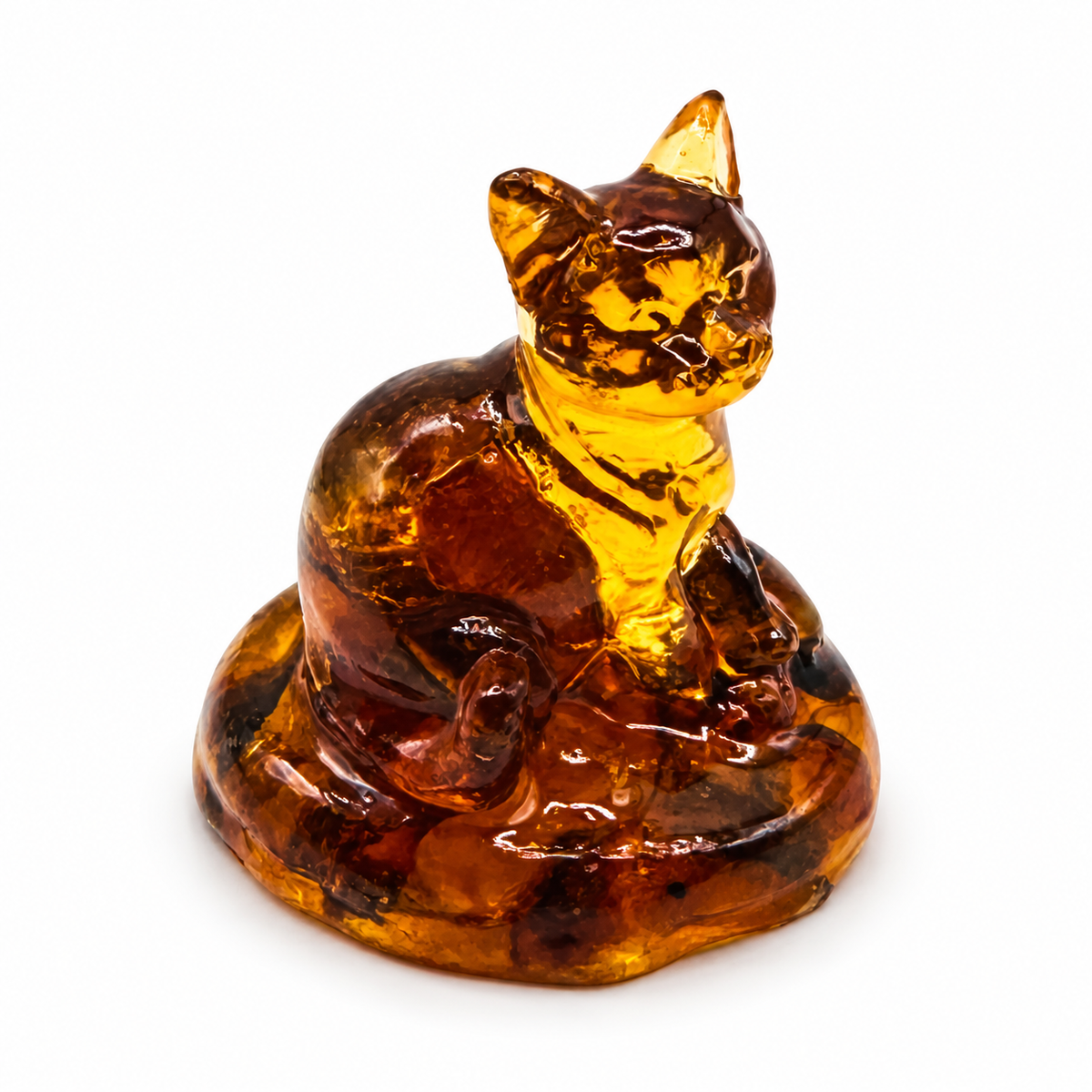 KIZIMA amber cat, white studio premium v2