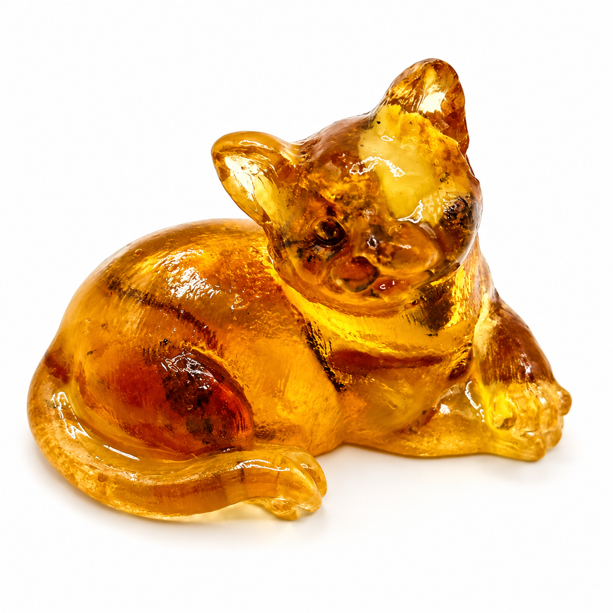 KIZIMA amber cat, white studio premium v2