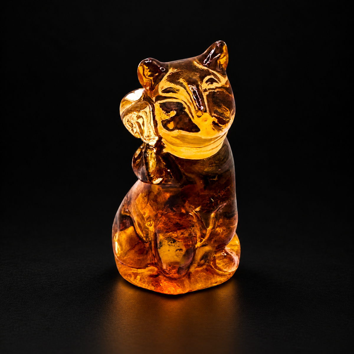 KIZIMA amber cat, black studio premium v2