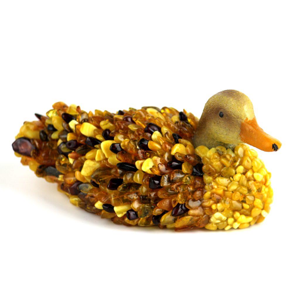Canard
