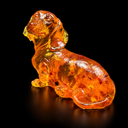 Long-bodied amber dachshund with drooping ears and a raised head, glowing orange against a reflective black surface.