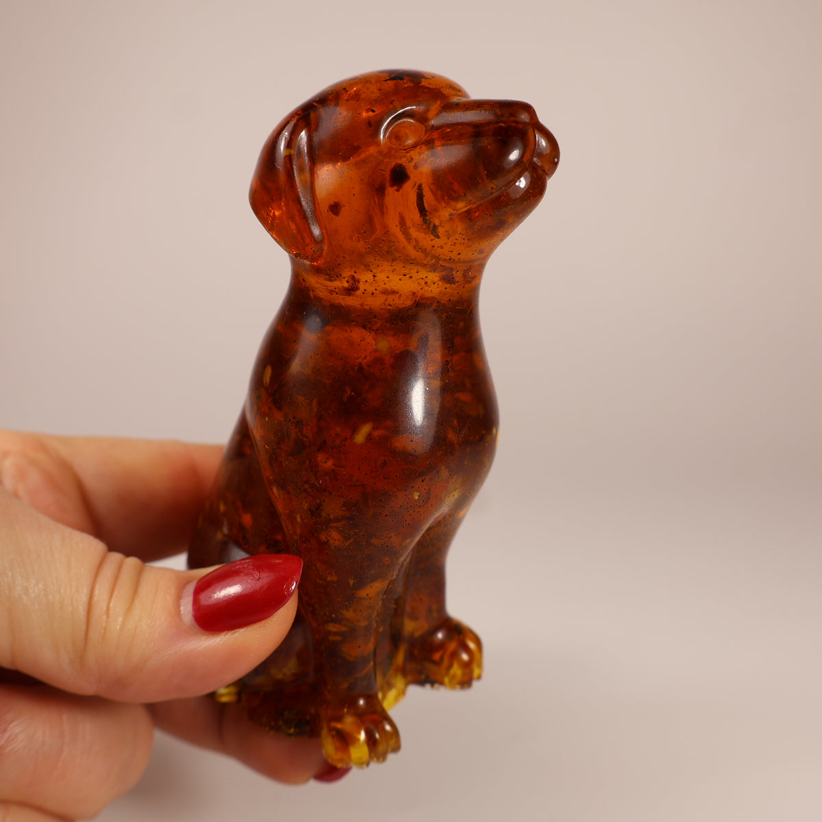 Original product photograph - 14DOG05Q155-8-5-10