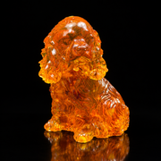Seated amber Cocker Spaniel on a reflective black surface, with long wavy ears framing its rounded muzzle.