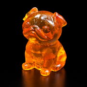 Three-quarter view of a seated amber pug, with round eyes, folded ears and a wrinkled muzzle, reflected on a black surface.