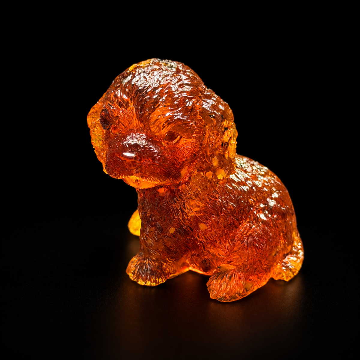 Three-quarter view of a seated cognac-amber puppy with a rounded curly head, floppy ears and deeply textured fur, against black.