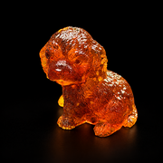 Three-quarter view of a seated cognac-amber puppy with a rounded curly head, floppy ears and deeply textured fur, against black.