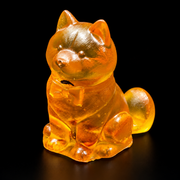 Golden amber puppy sitting with pointed ears, a neck bow and a rounded curled tail, shown against black.