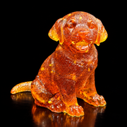 Seated amber Labrador puppy with its tongue out, floppy ears and tail extending to the left, reflected on a black surface.