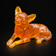 Reclining amber Chihuahua on black, with its head raised, large ears upright and both front paws stretched forward.