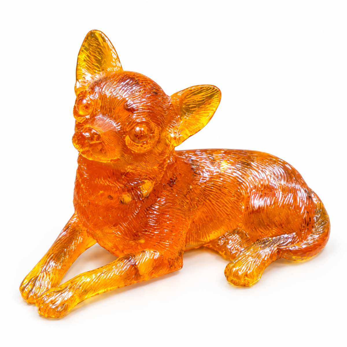 Amber Chihuahua lying on white, showing its long front legs, finely carved fur and tail curled around the hindquarters.