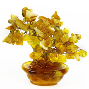 USA Handmade Money Tree Baltic Amber Home Decor KIZIMA