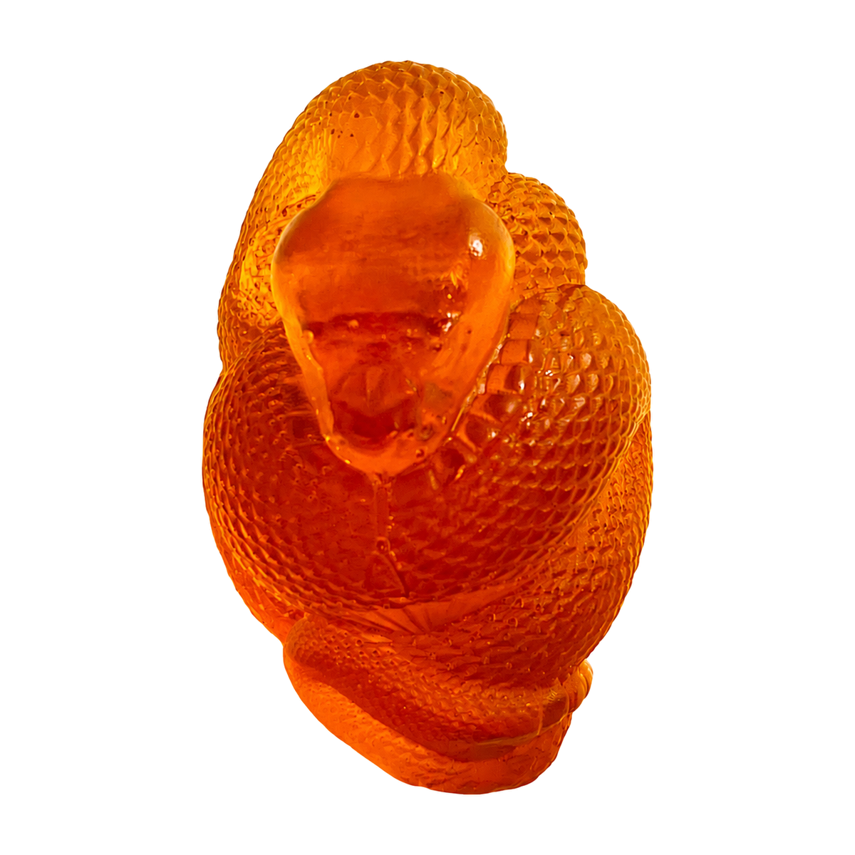 48Z009q45 — Baltic amber coiled snake figurine on white background