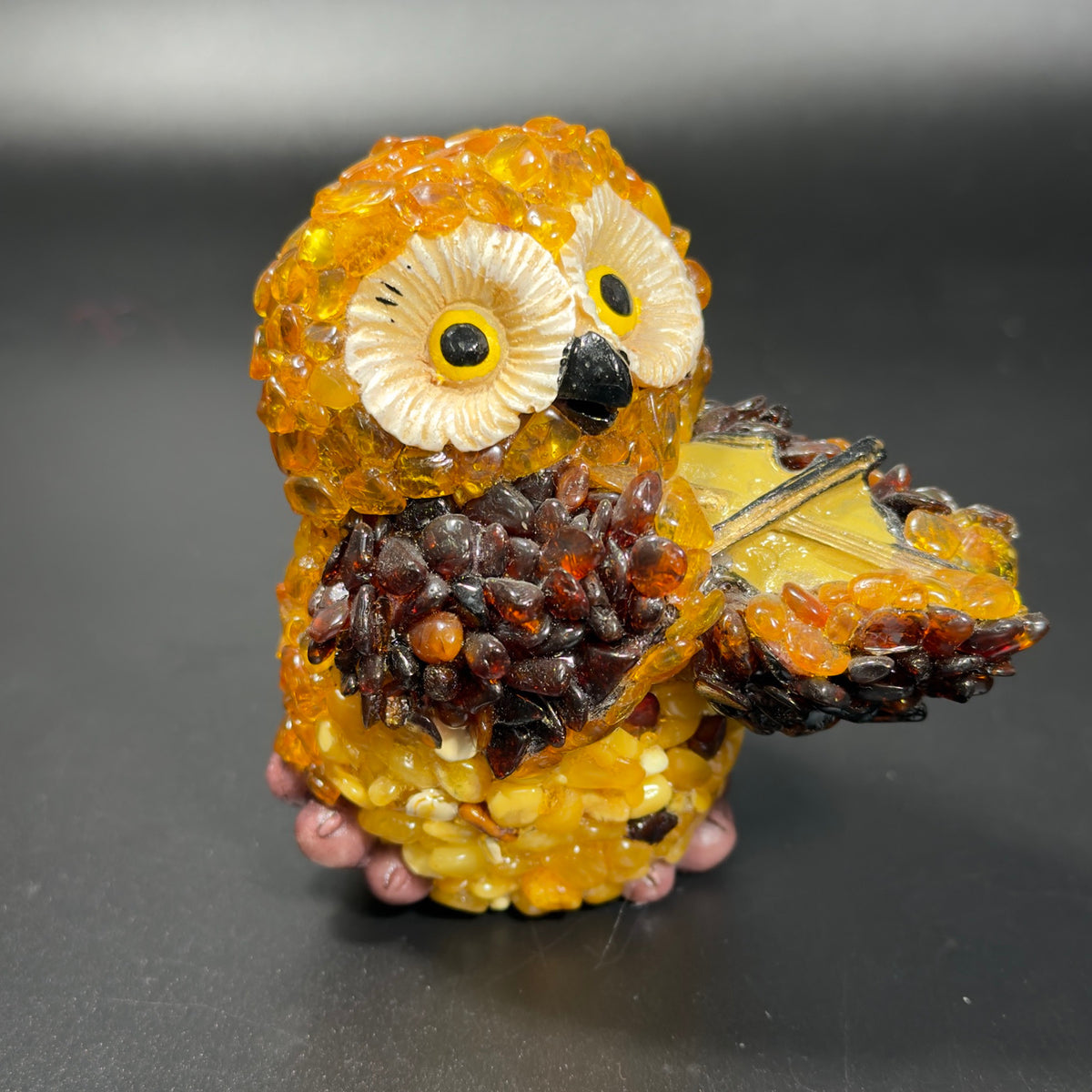 Left three-quarter view of the violinist owl showing deep brown amber mosaic on the wing.