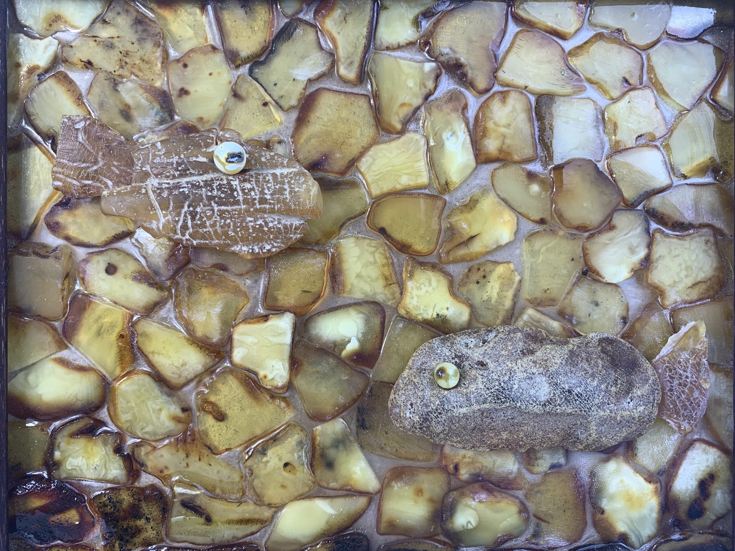 Amber Wall Art Fish | Handmade Baltic Amber Picture by KIZIMA USA