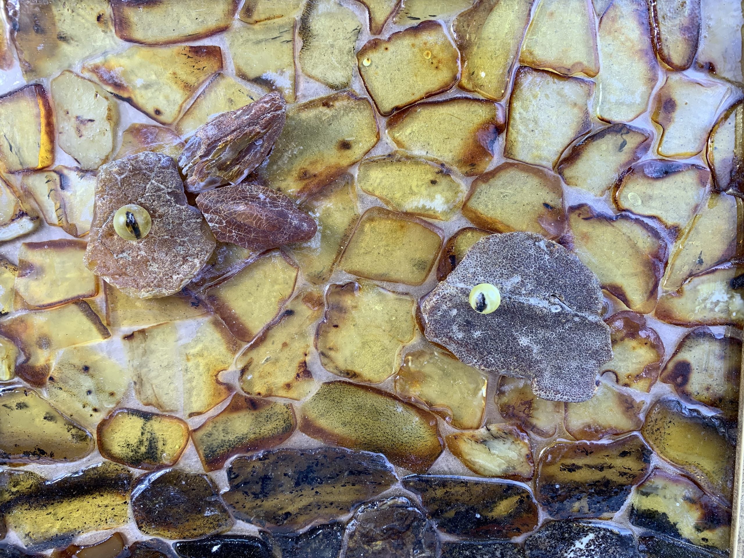 USA KIZIMA Tableau poisson fait main en ambre de la Baltique Cadeau