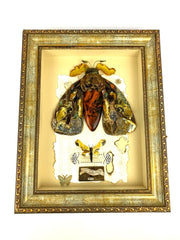 KIZIMA Amber Wall Art – Butterfly Handmade Decor