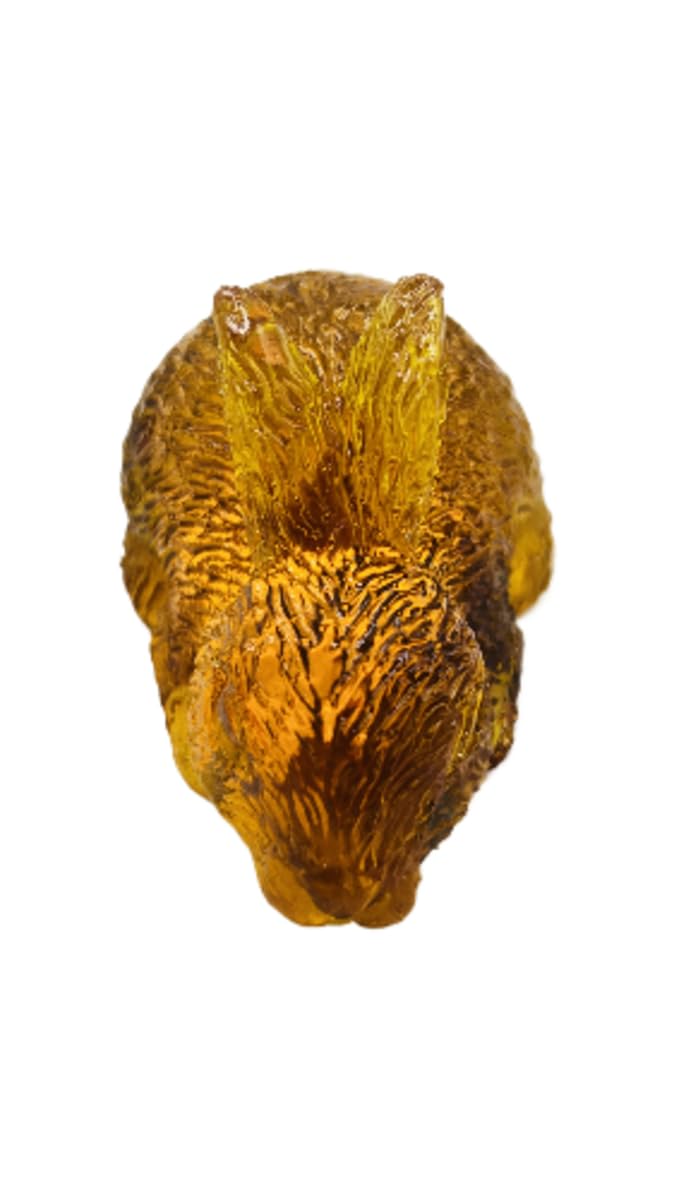 USA Handcrafted Amber Resin Rabbit Figurine, Decorative Golden Home Decor, Easter Collection KIZIMA