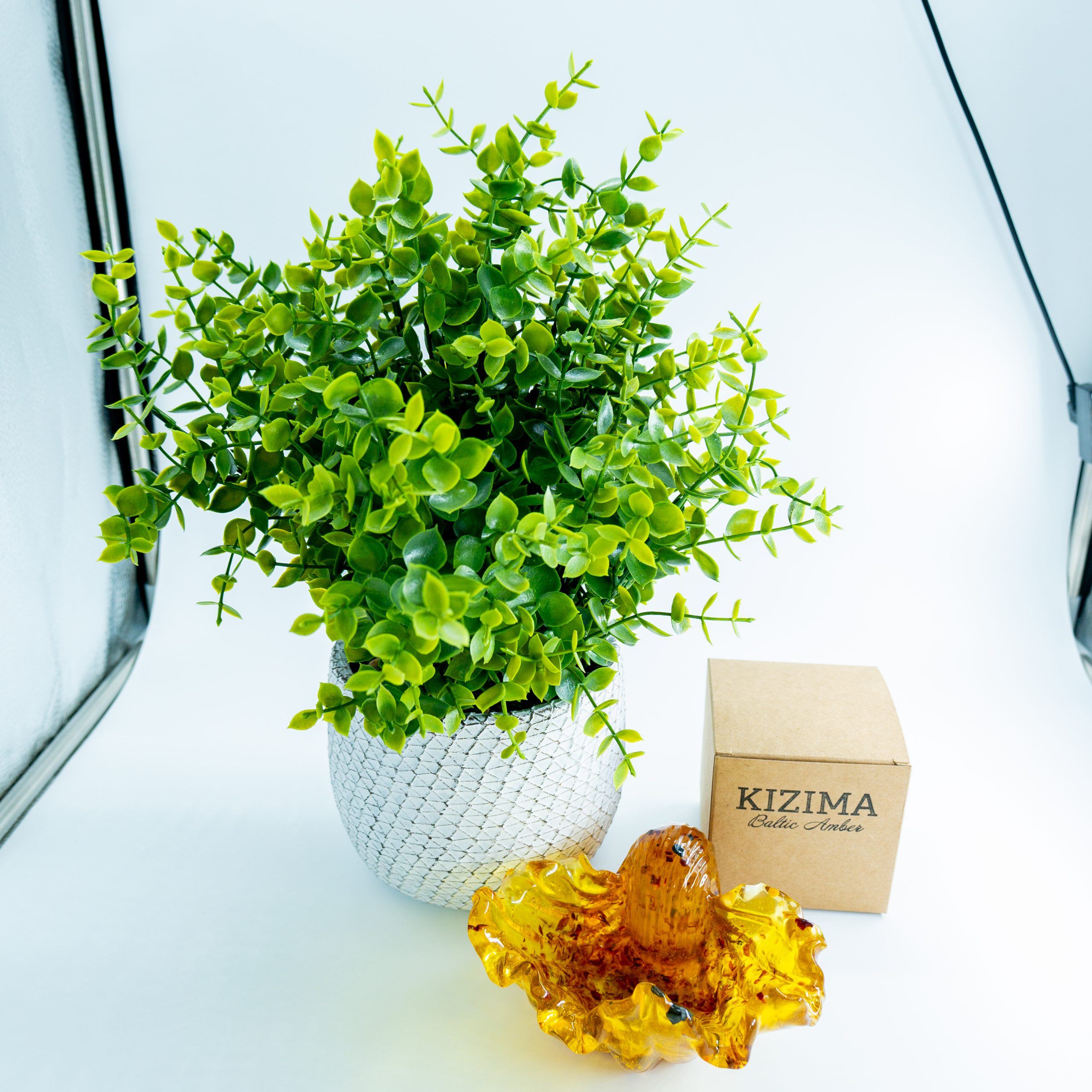 Exclusive Handmade Shell Candy Bowl with Natural Baltic Amber | Unique Table Decor, Luxury Gift for Her, Christmas, KIZIMA USA