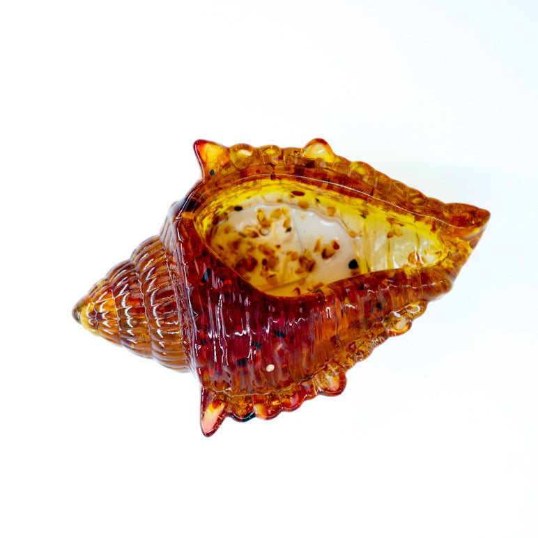 USA Handmade Souvenir for storing small items with Natural Baltic Amber Shell KIZIMA