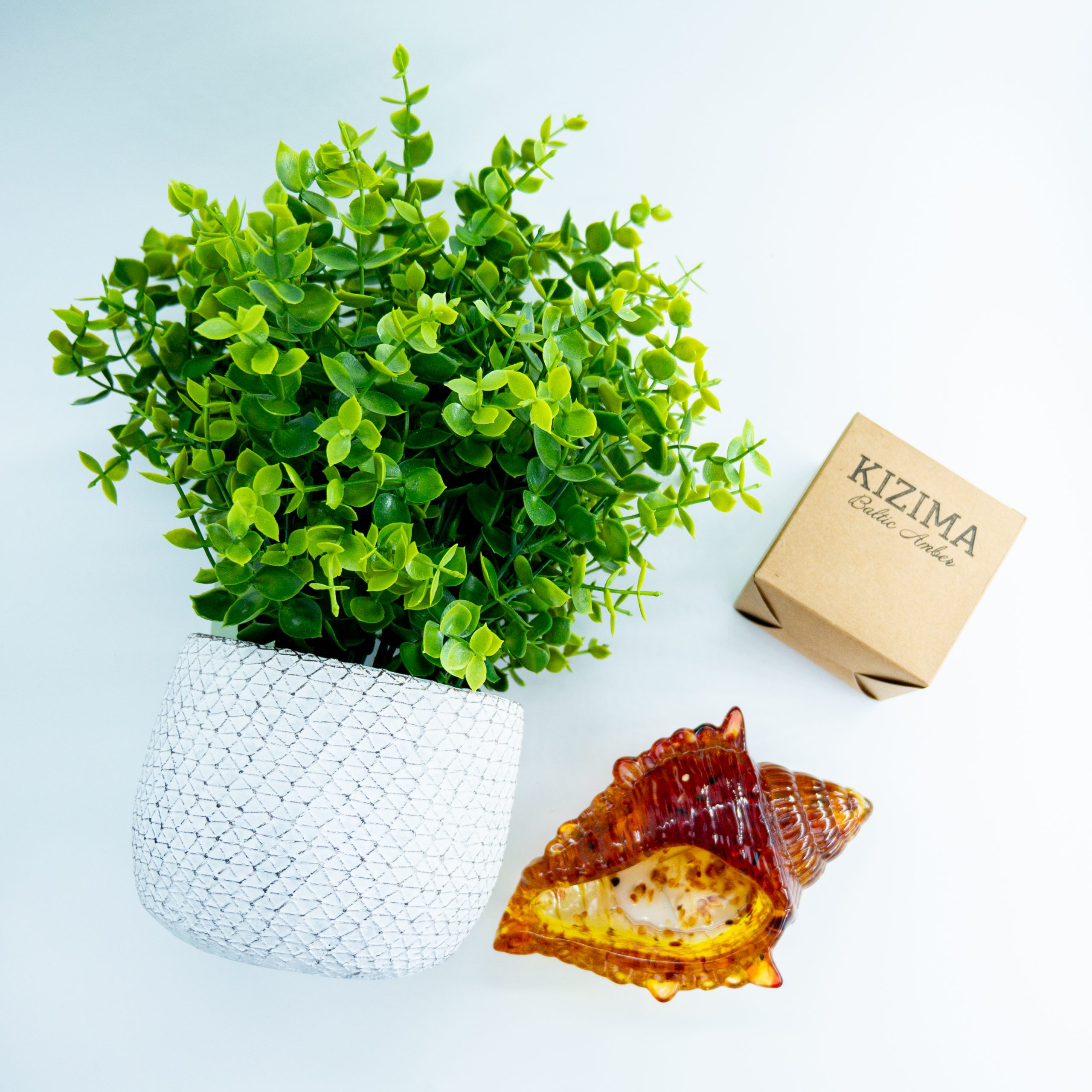 USA Handmade Souvenir for storing small items with Natural Baltic Amber Shell KIZIMA