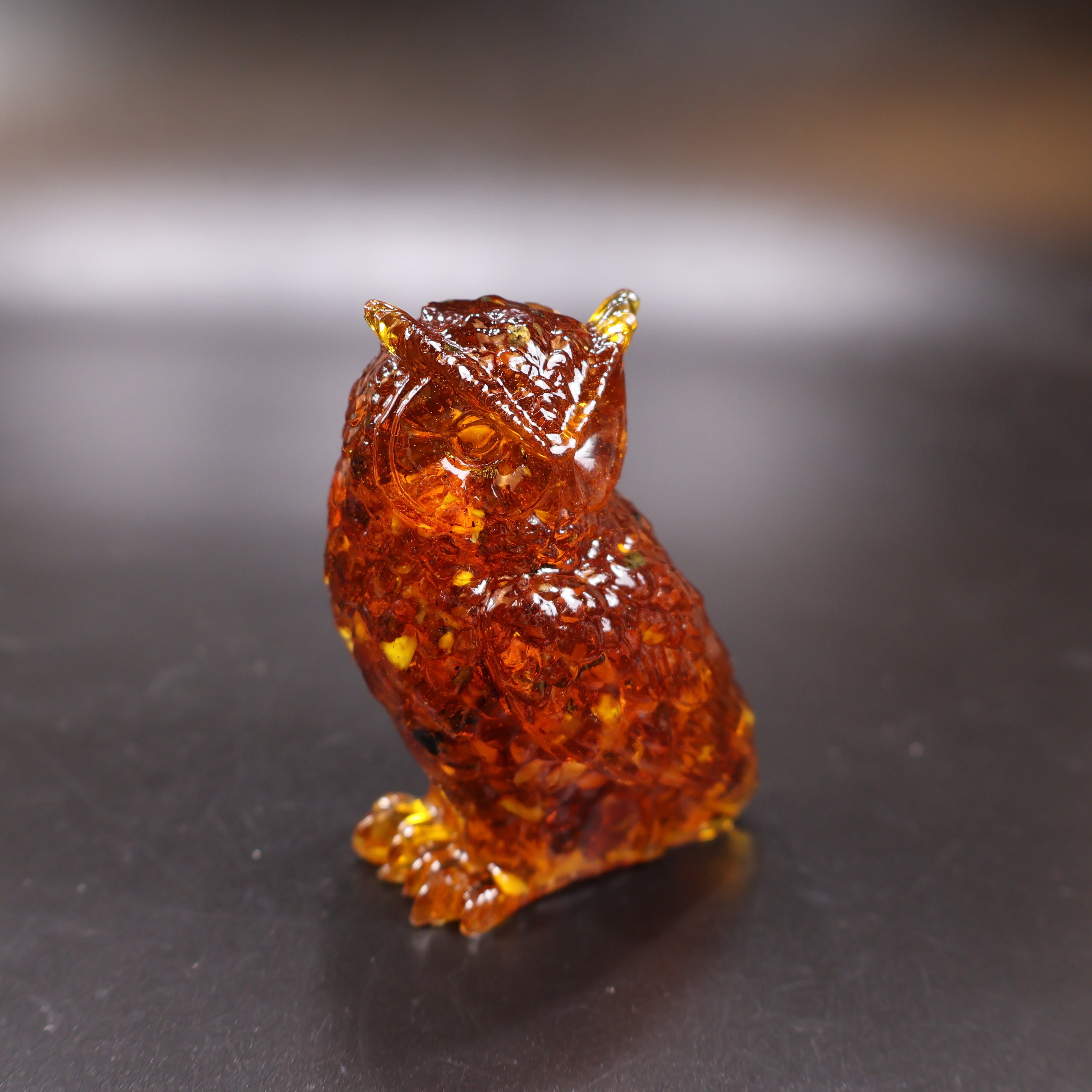 owl