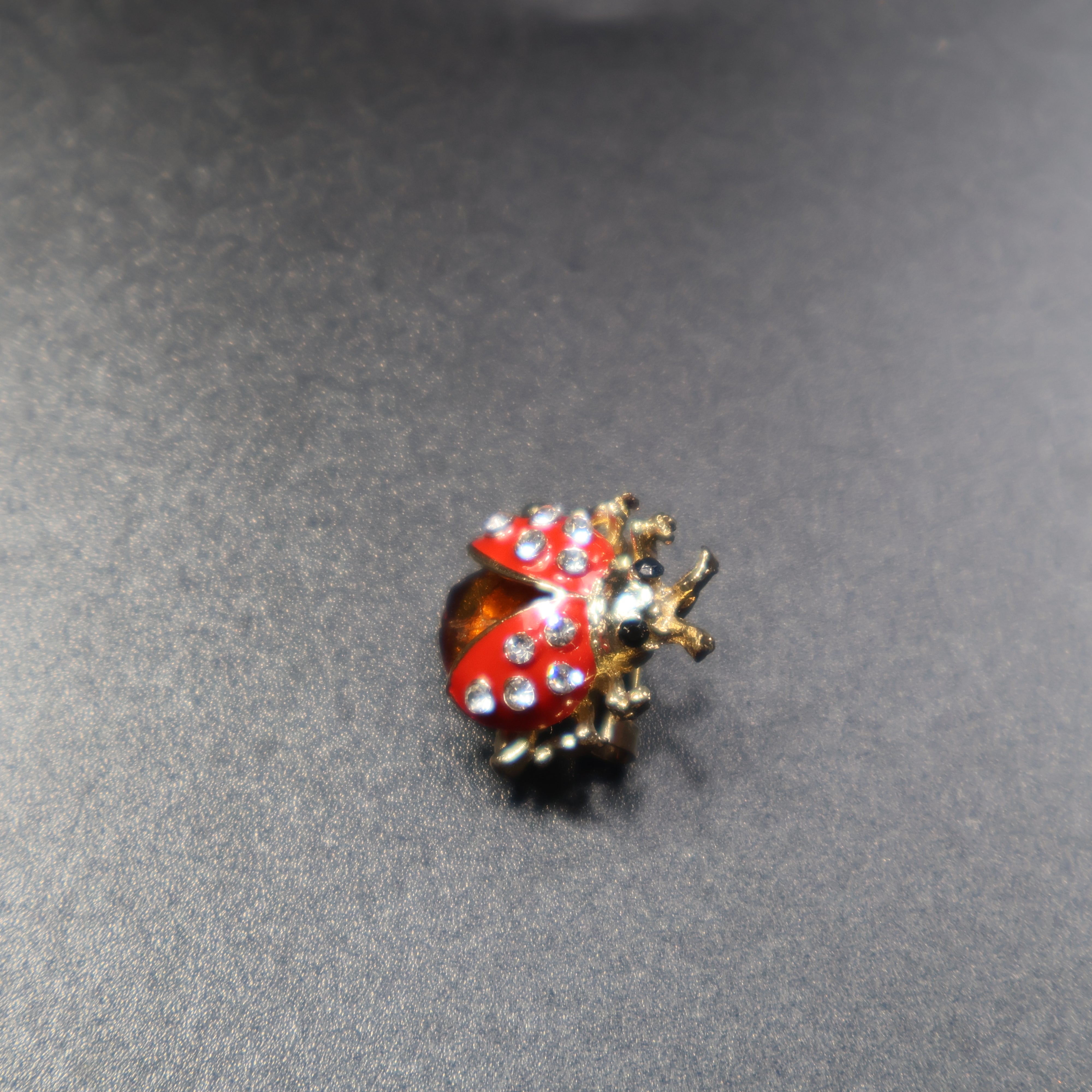 Made in USA Genuine Natural Baltic Amber Ladybug Brooch KIZIMA®