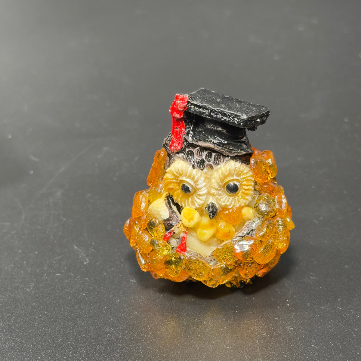 Original unedited photograph of graduation owl on gray surface