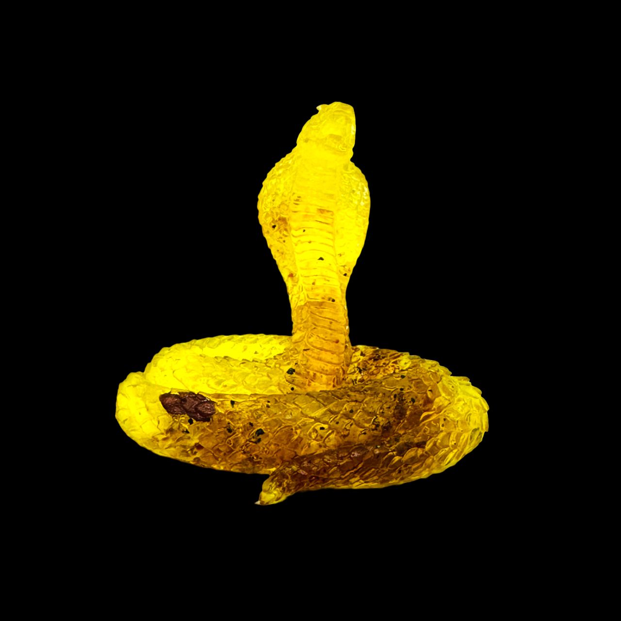 Handmade Baltic amber cobra by KIZIMA® USA — natural amber decor, side view