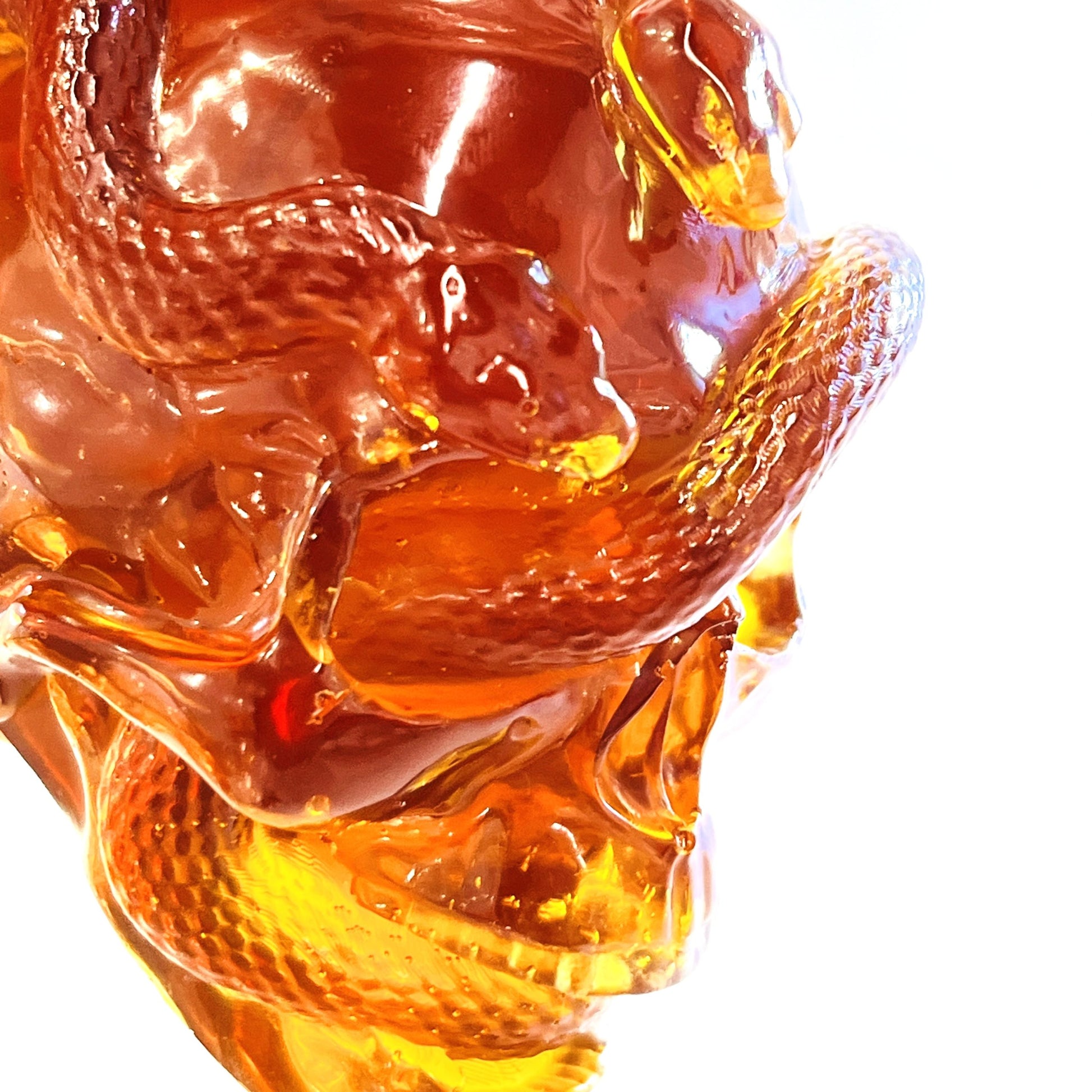 Baltic amber skull and snake statue by KIZIMA® — genuine amber gift, made in USA, close-up