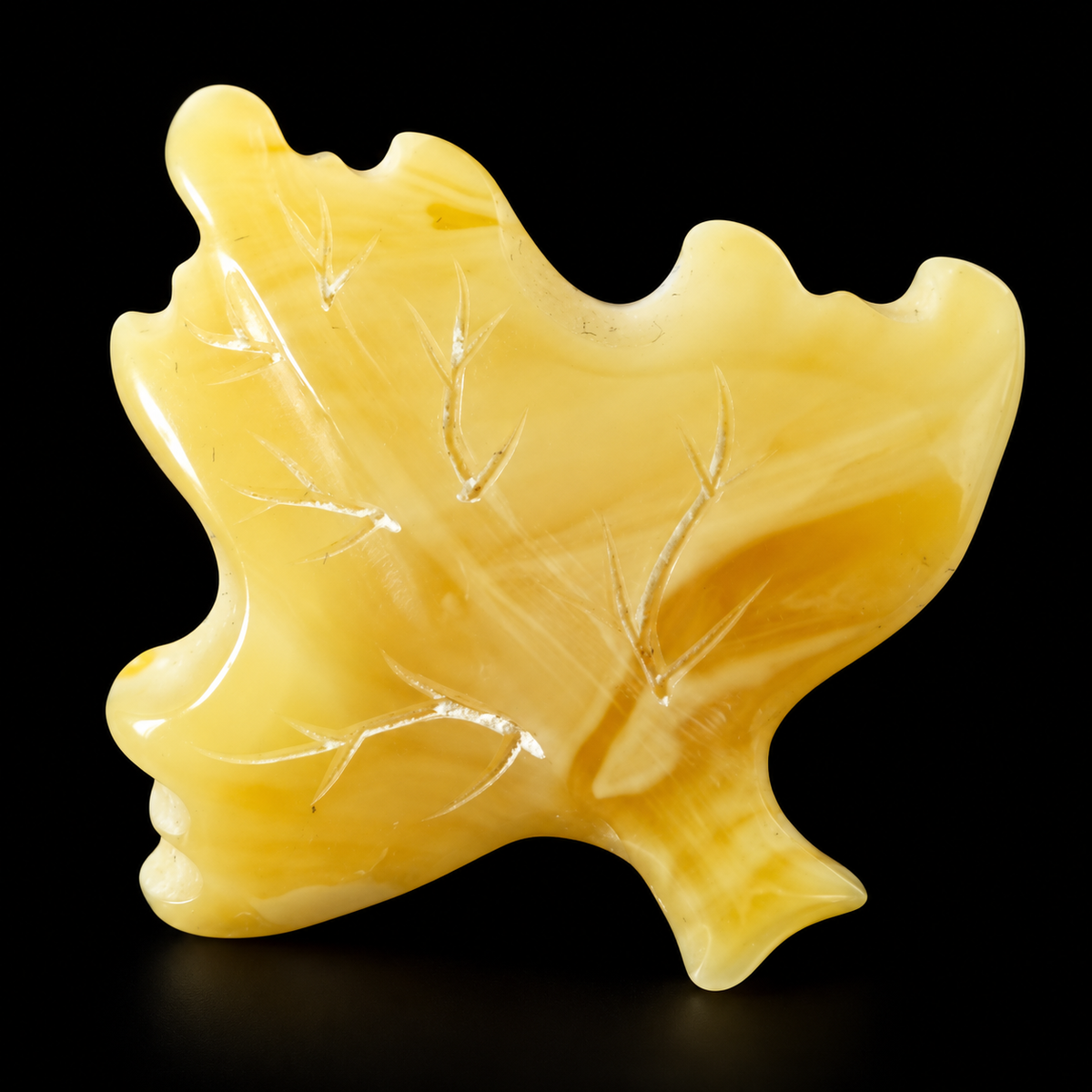 KIZIMA Baltic amber brooch 20S0834q2.78 on black studio background.