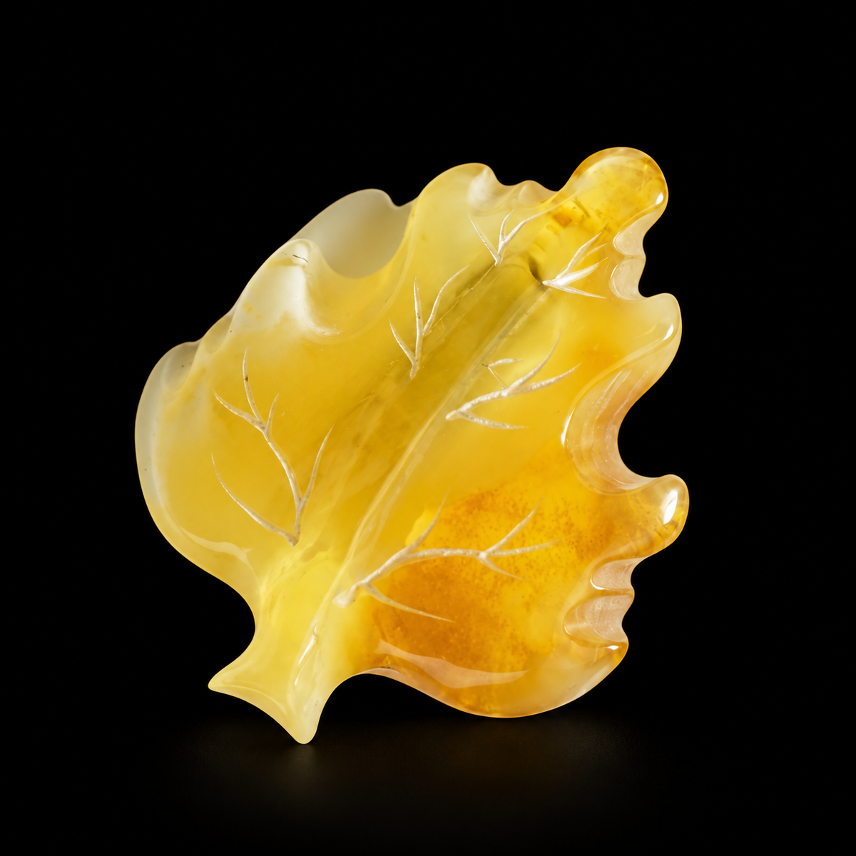 KIZIMA Baltic amber brooch 20S0900q3.00 on black studio background.
