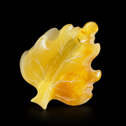 KIZIMA Baltic amber brooch 20S0900q3.00 on black studio background.