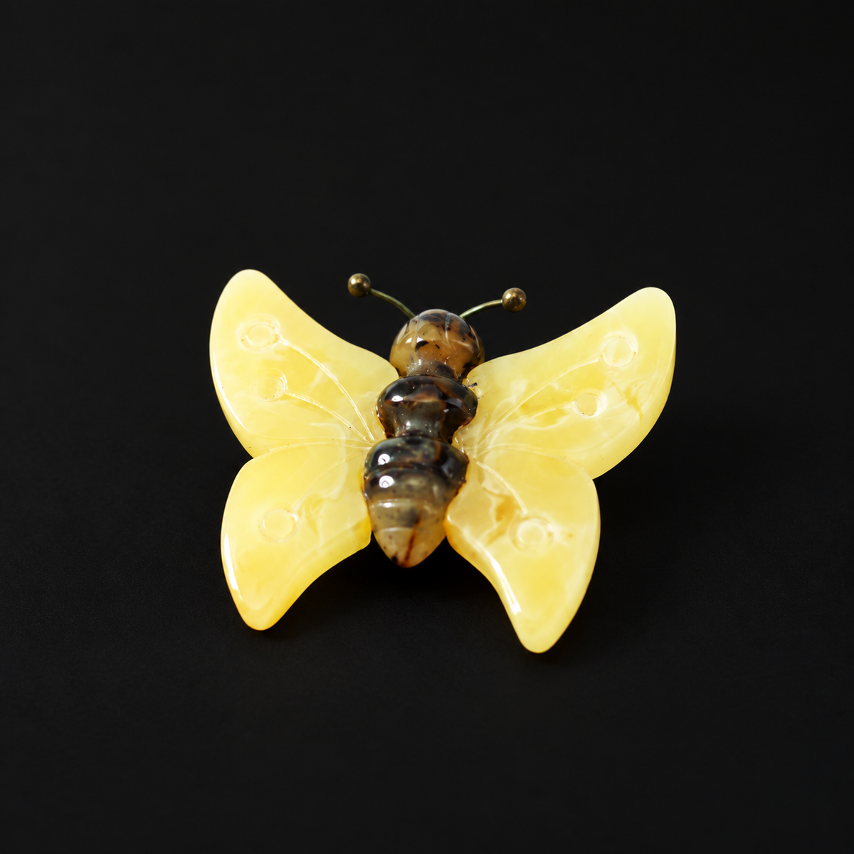 KIZIMA Baltic amber brooch 20S1050q3.50 on black background