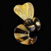 KIZIMA Baltic amber brooch 20S2049q6.83 on black studio background.