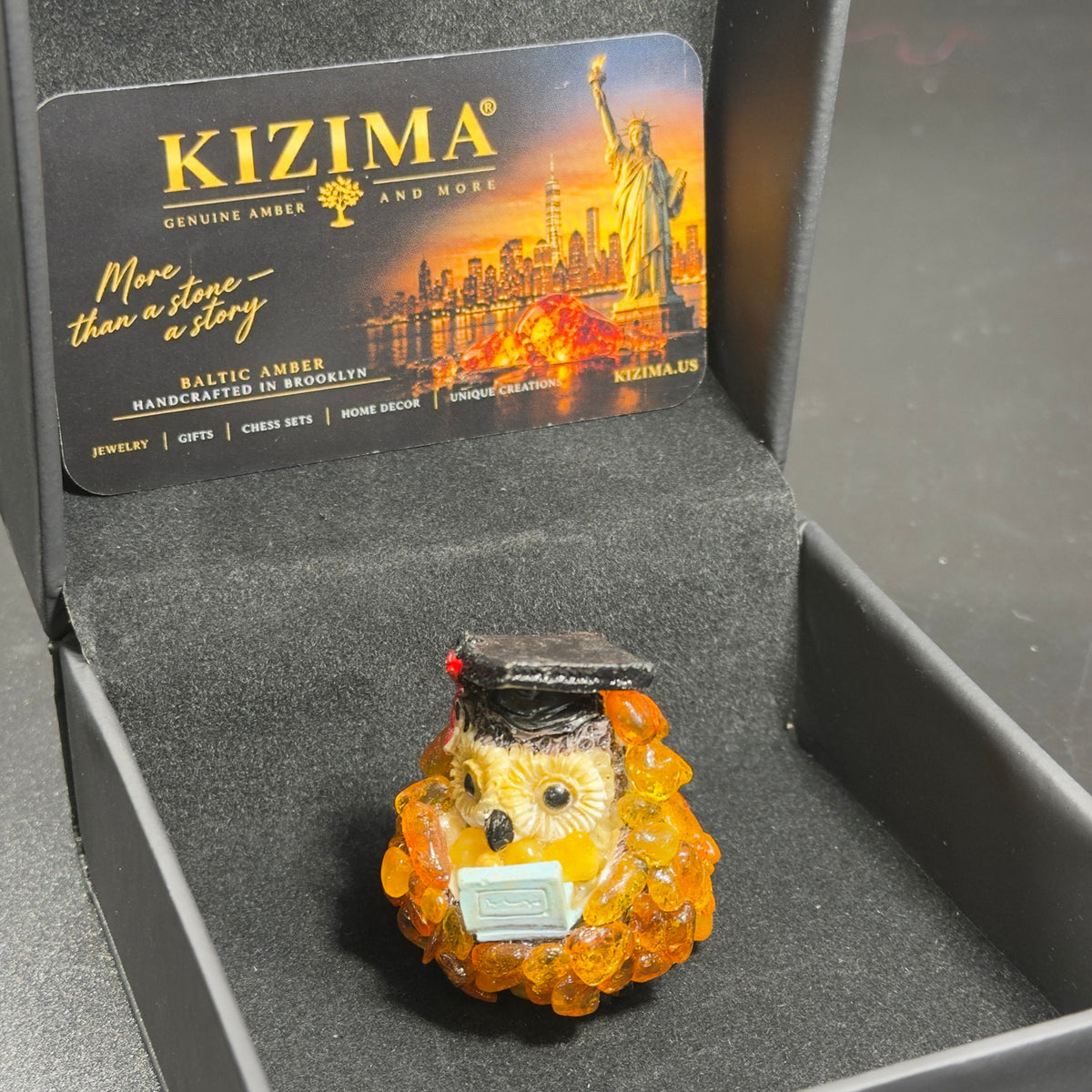 Original photograph of the OWL14 graduation owl inside its KIZIMA box