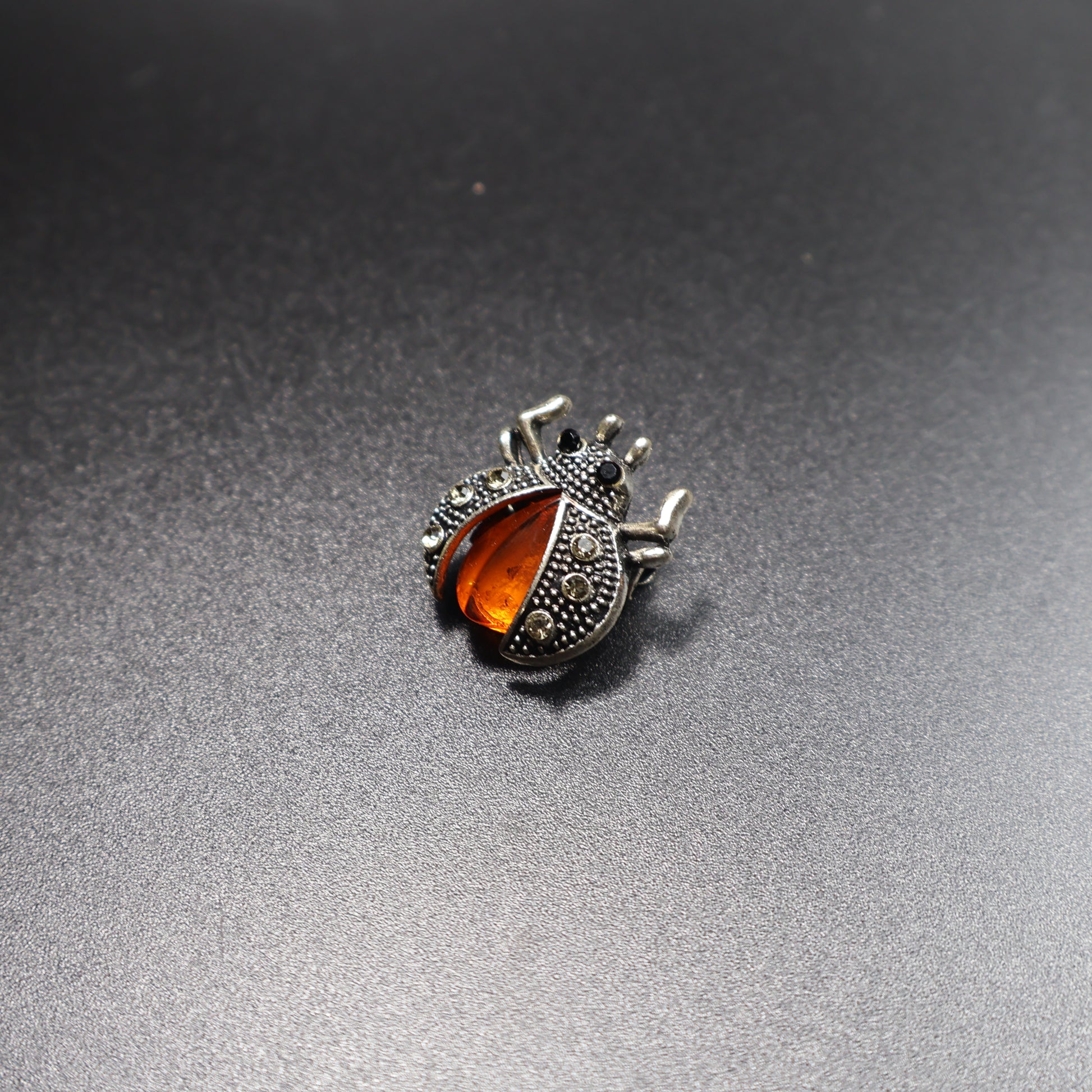 Baltic amber beetle brooch scale reference photo