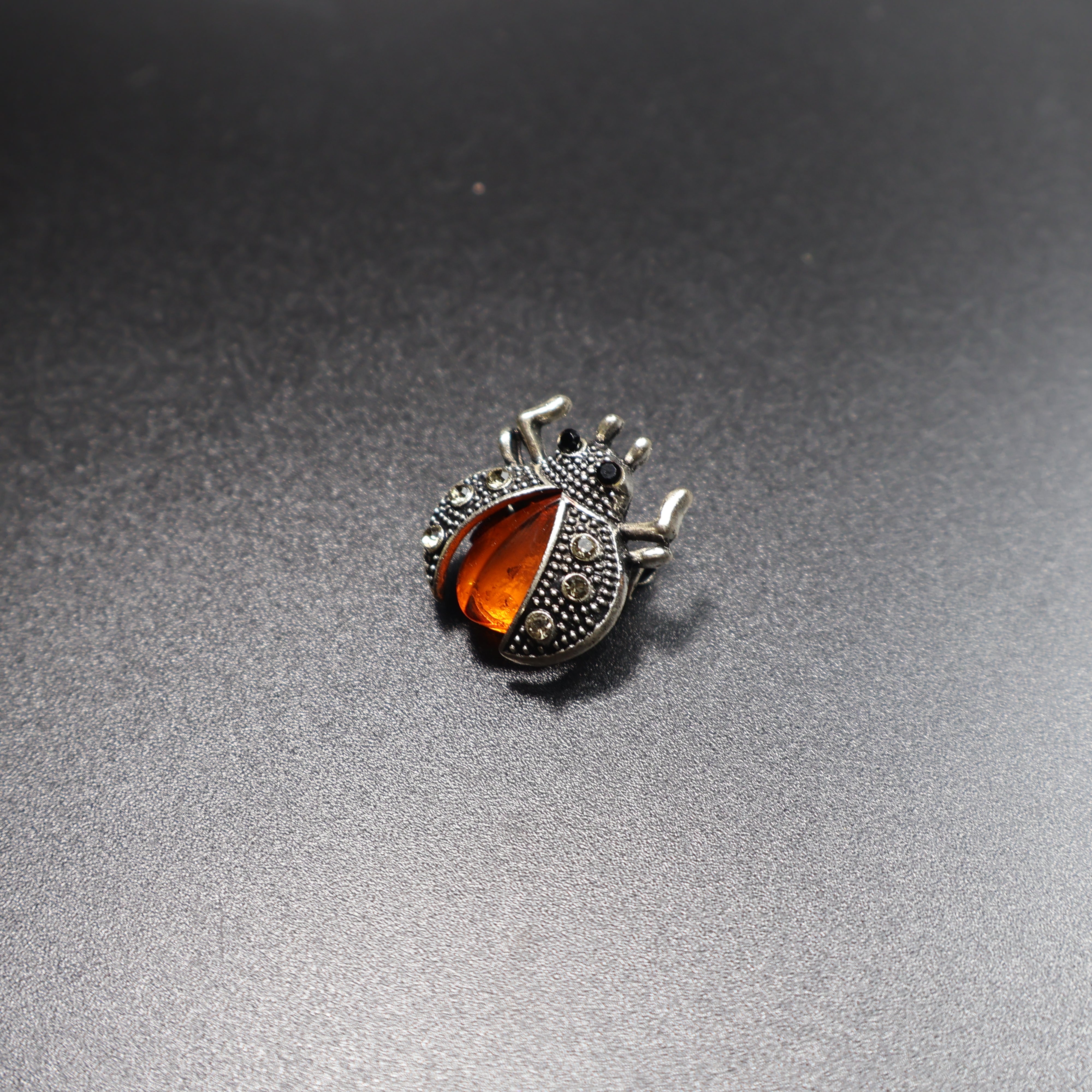 Baltic amber beetle brooch scale reference photo