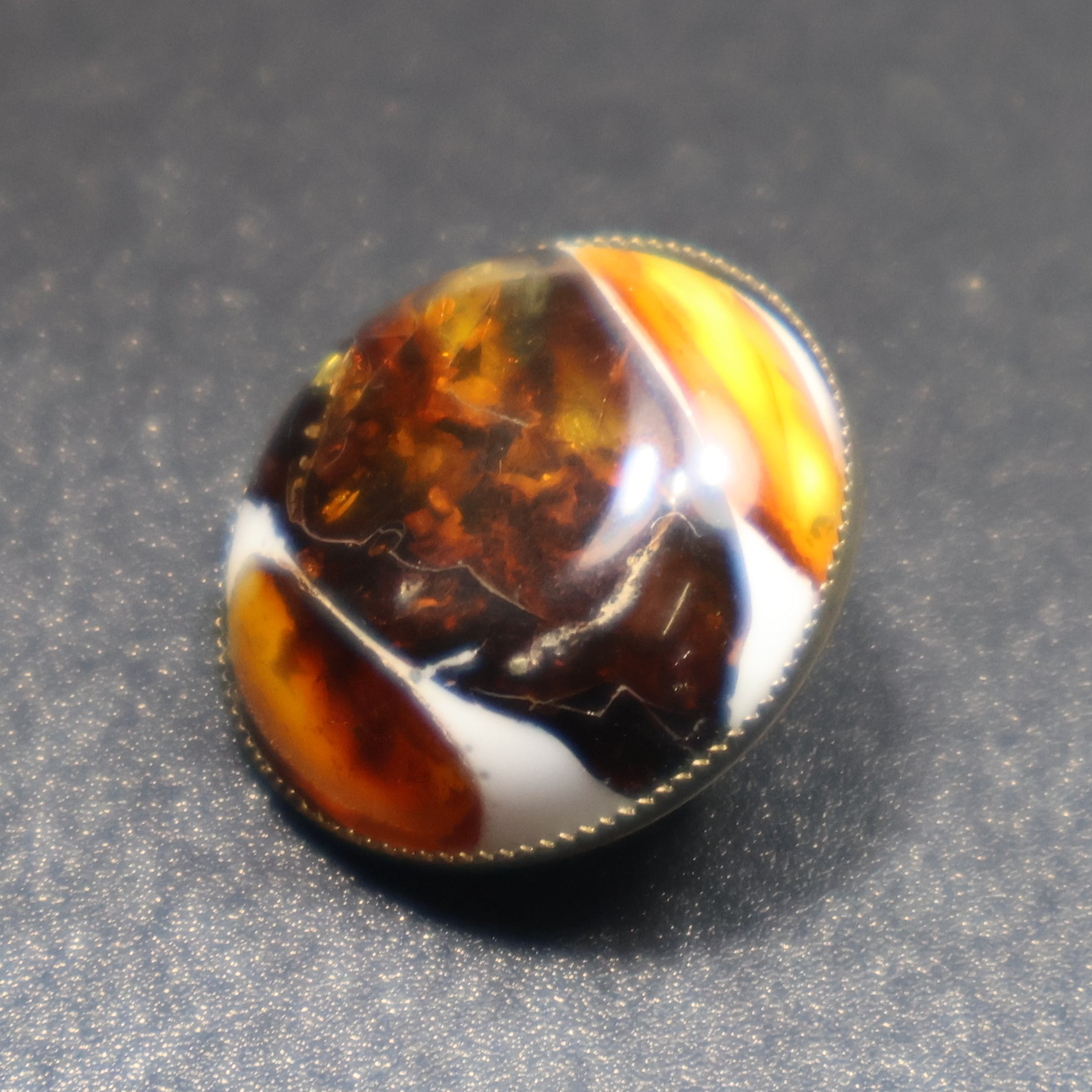 Made in USA genuine natural Baltic amber dalmatian pin additional view