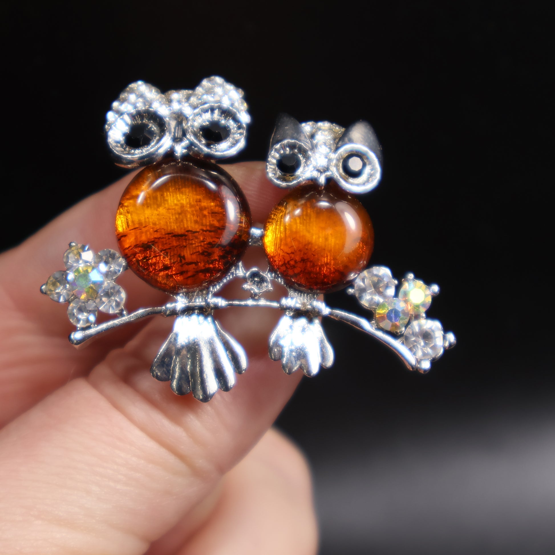 Amber owl brooch scale reference photo