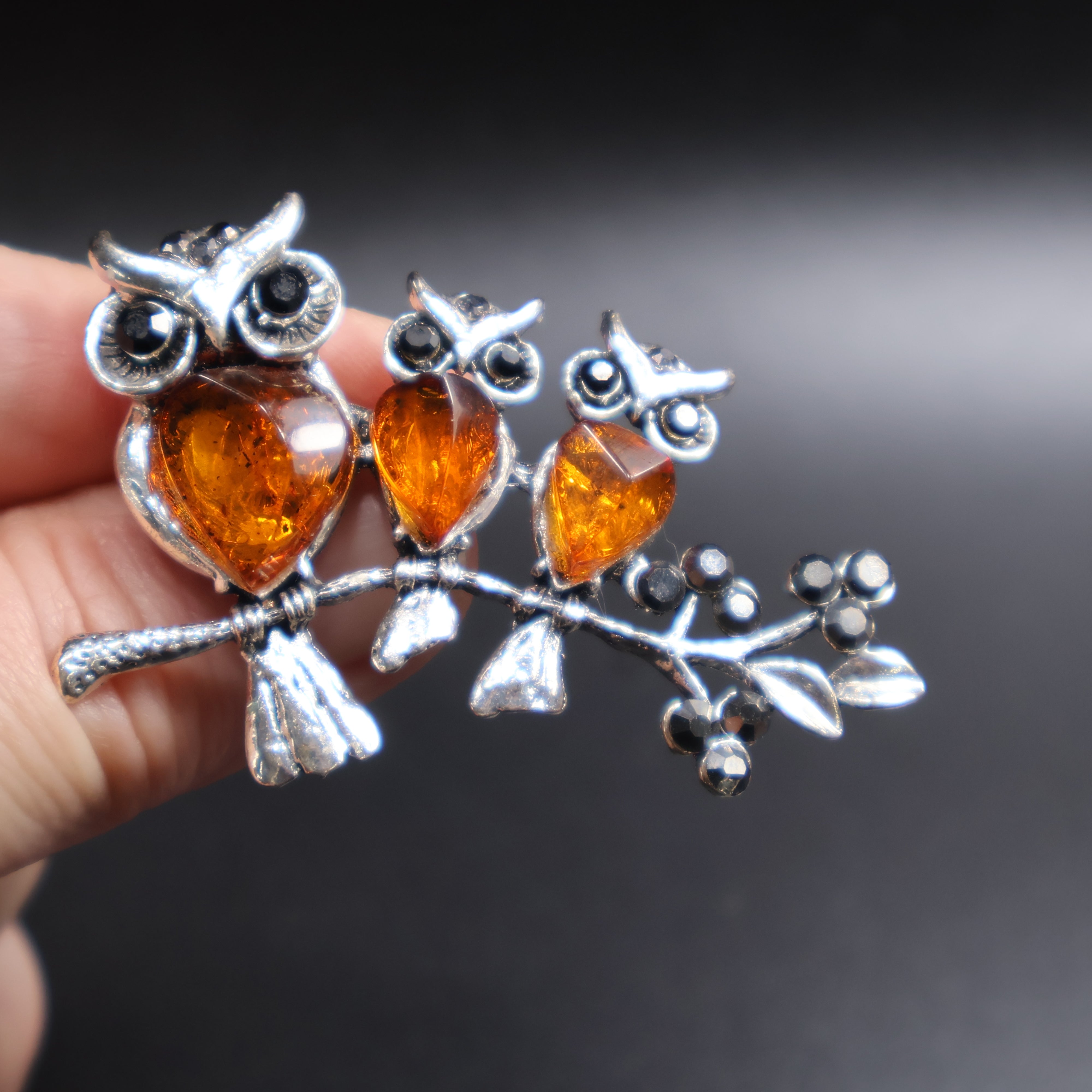 Baltic amber owl family brooch scale reference photo