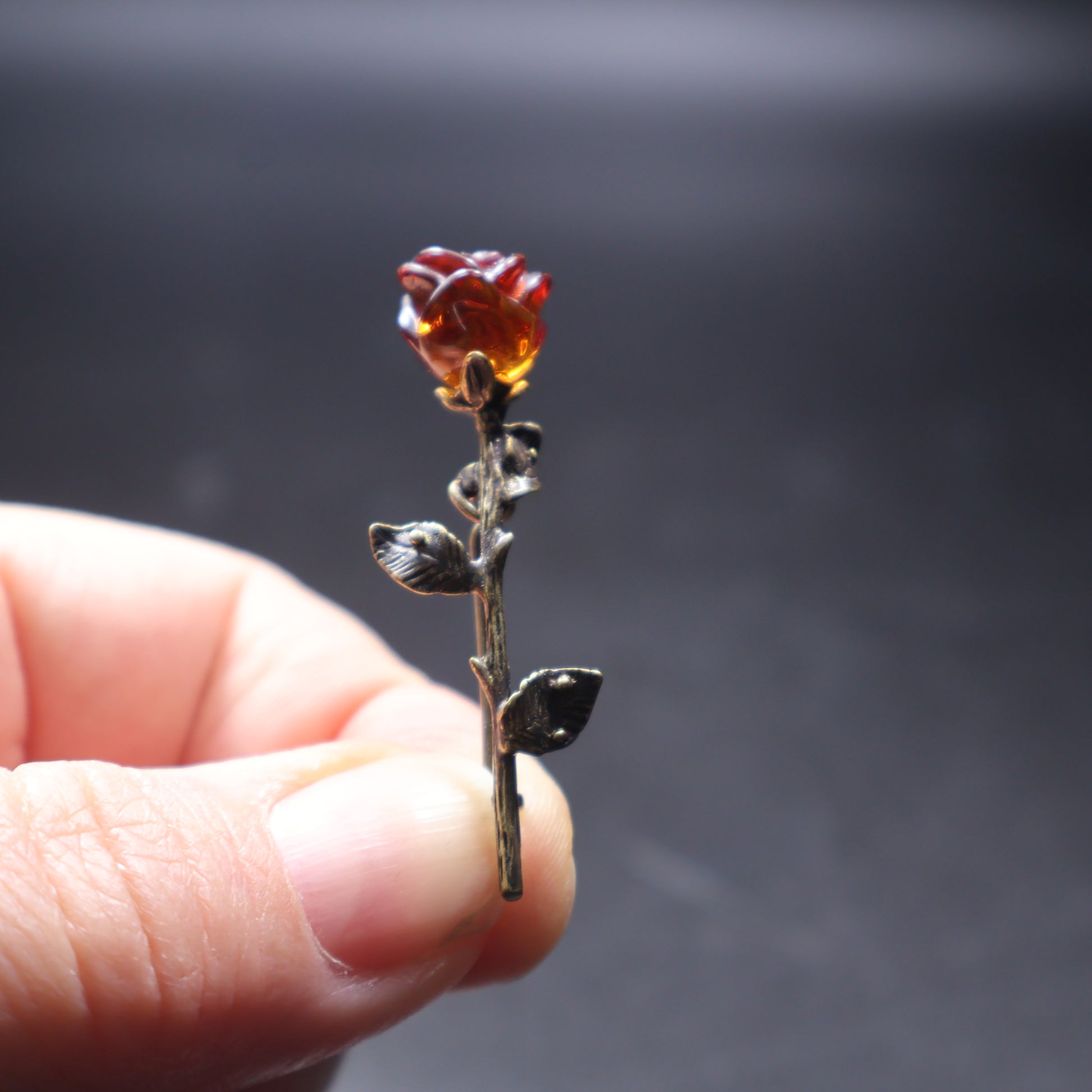 Baltic amber rose brooch scale reference photo