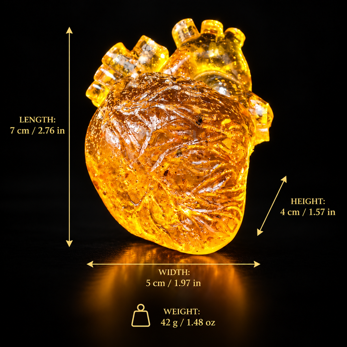 Baltic amber anatomical heart size and weight chart — 7 × 5 × 4 cm, 42 g, handcrafted by KIZIMA® USA